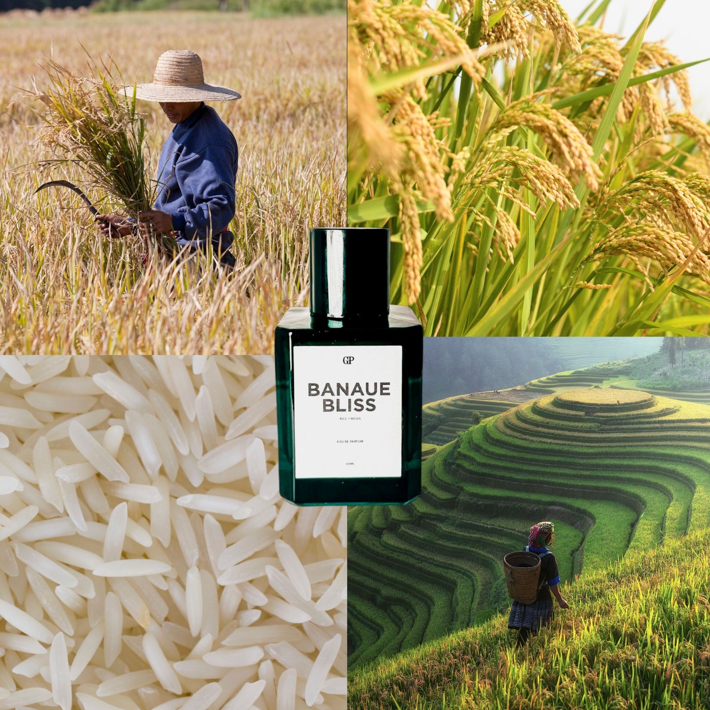 GP Elements Banaue Bliss Eau de Parfum 50ml